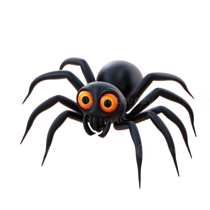 a black spider with orange eyes