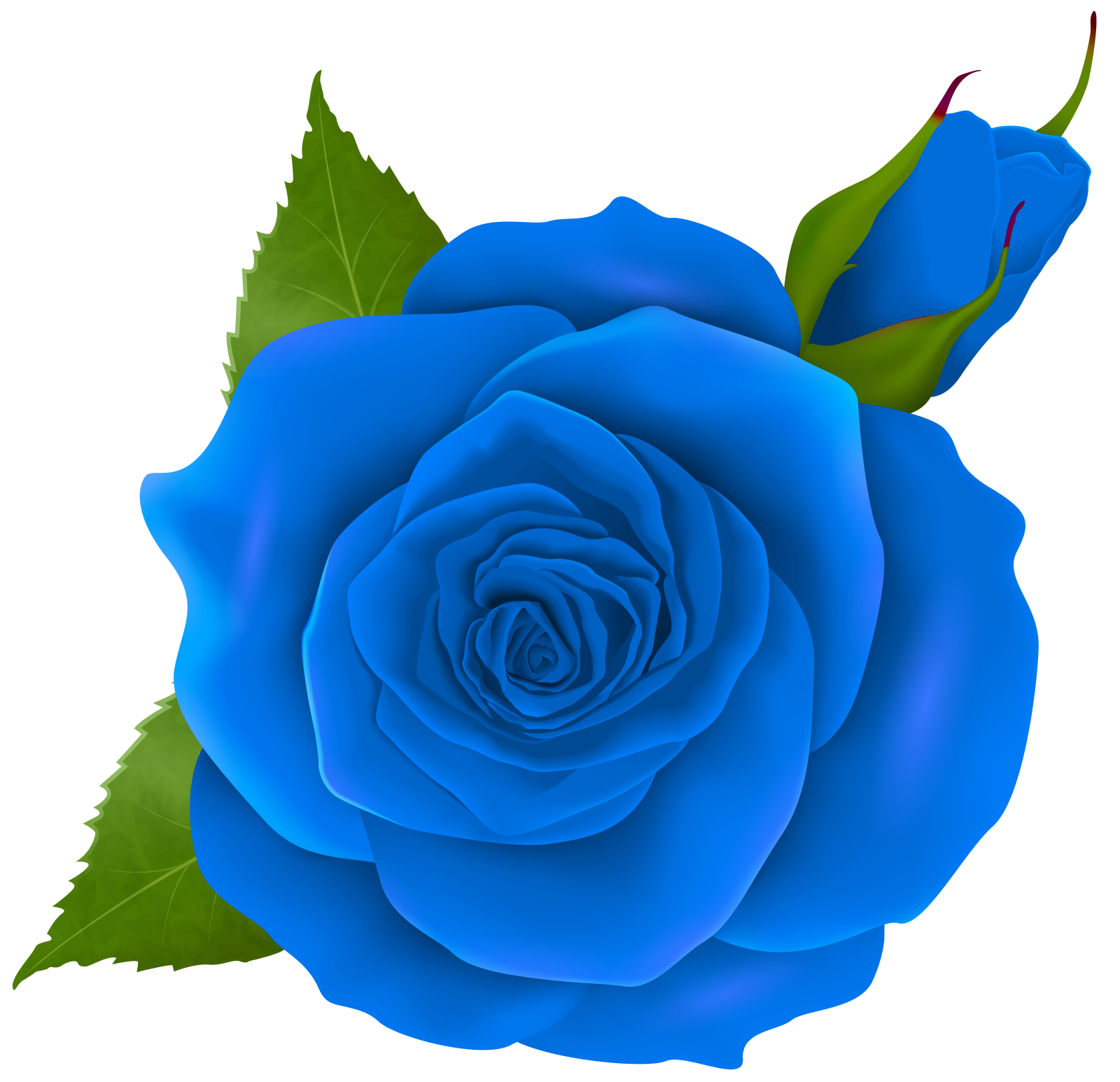a blue rose with green leaves on it