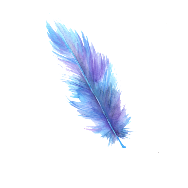 a watercolor feather on a white background