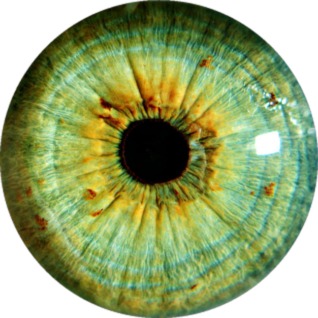 a close up view of an eye