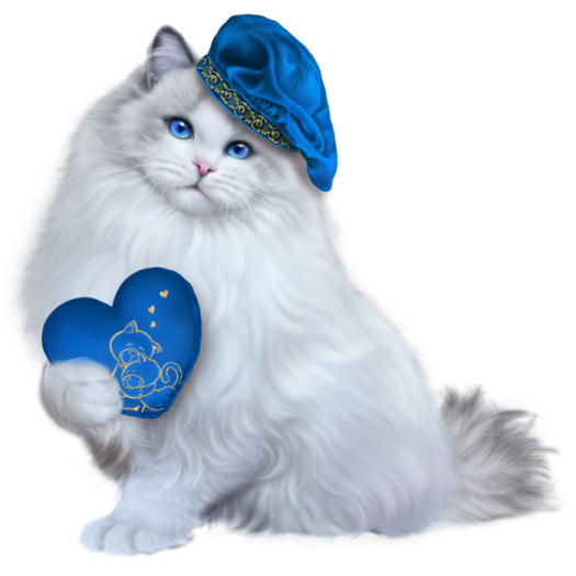 a white cat wearing a blue hat and holding a heart