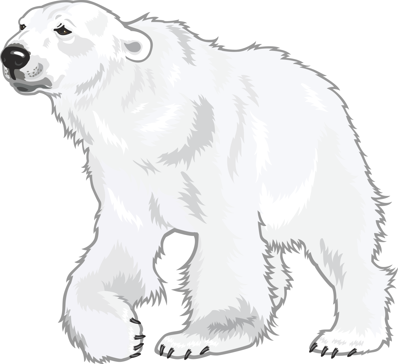 a polar bear standing on its hind