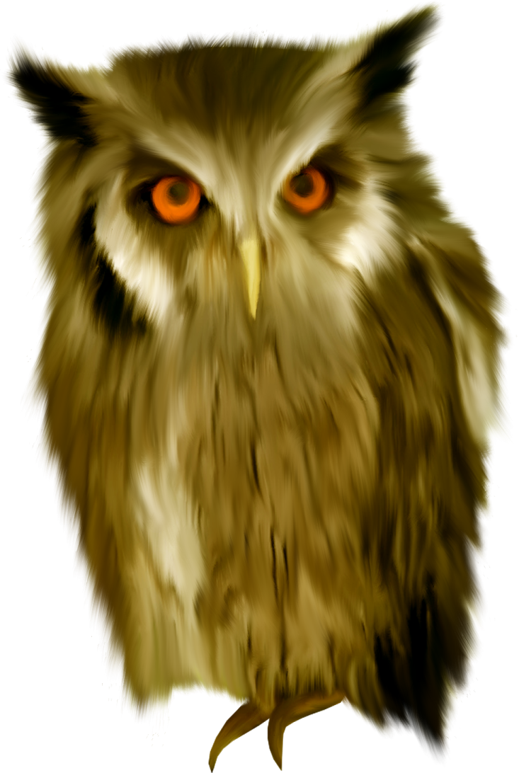 a drawing of an owl with orange eyes