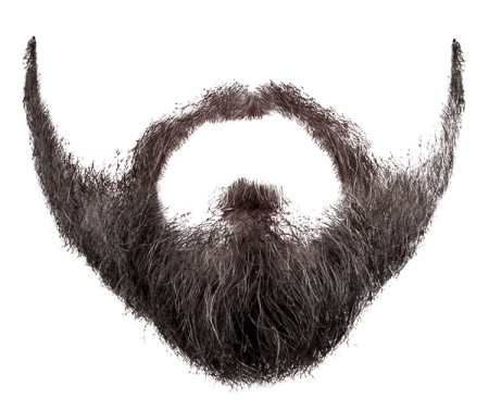 a man's beard with long hair