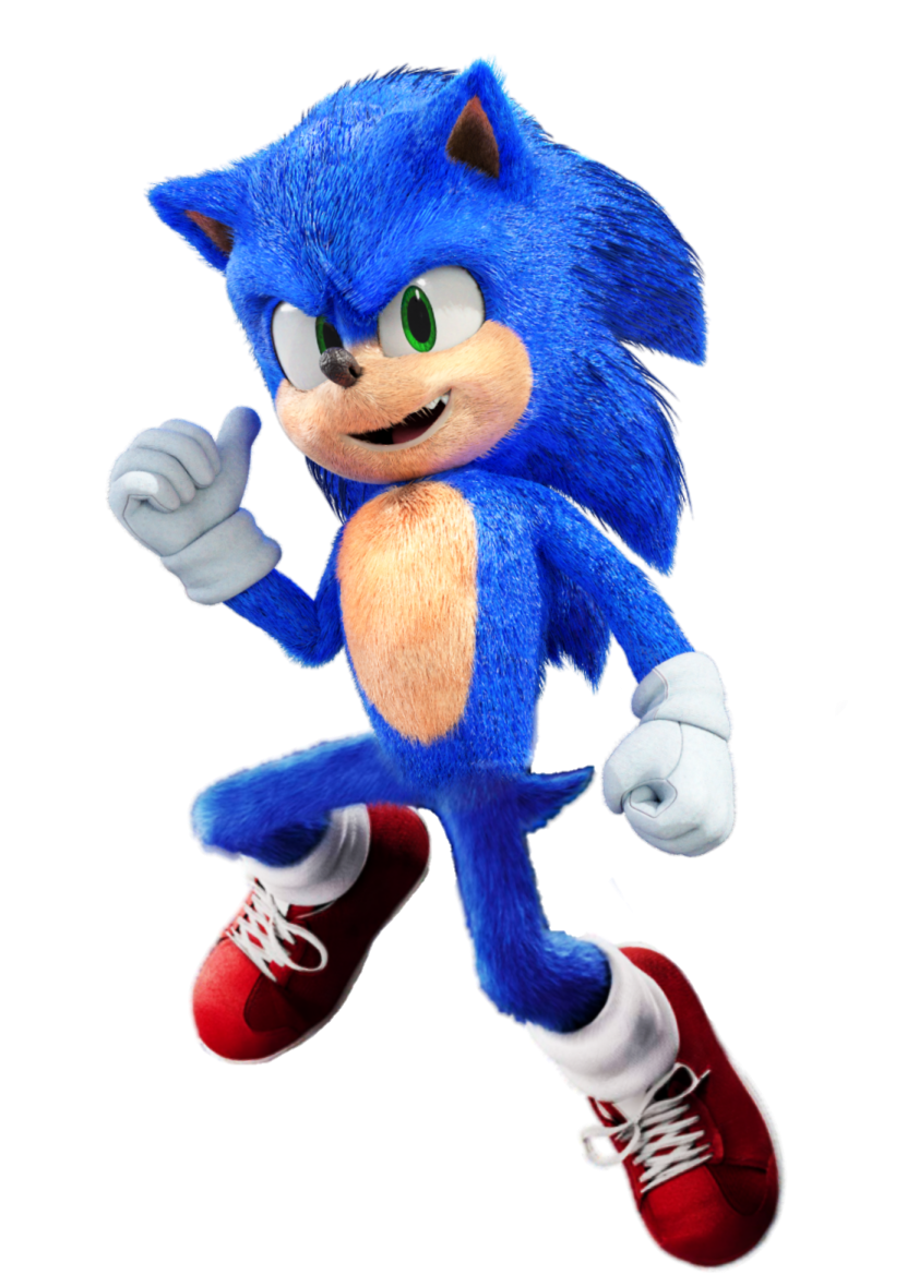 sonic the hedge