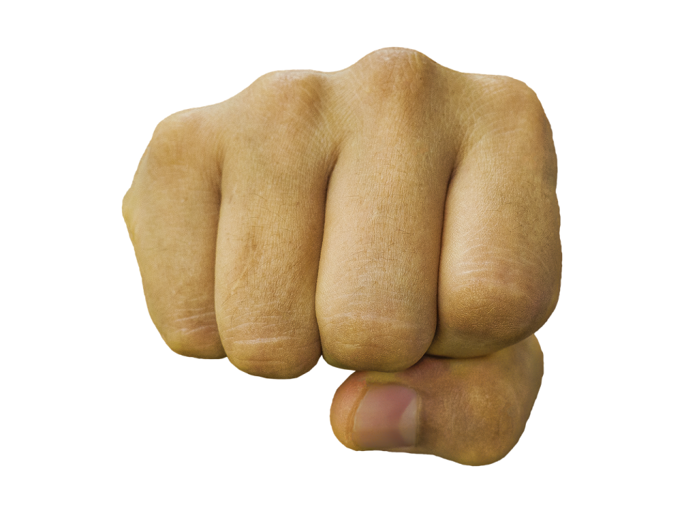 a close up of a fist on a white background