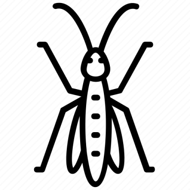 a black and white image of a bug