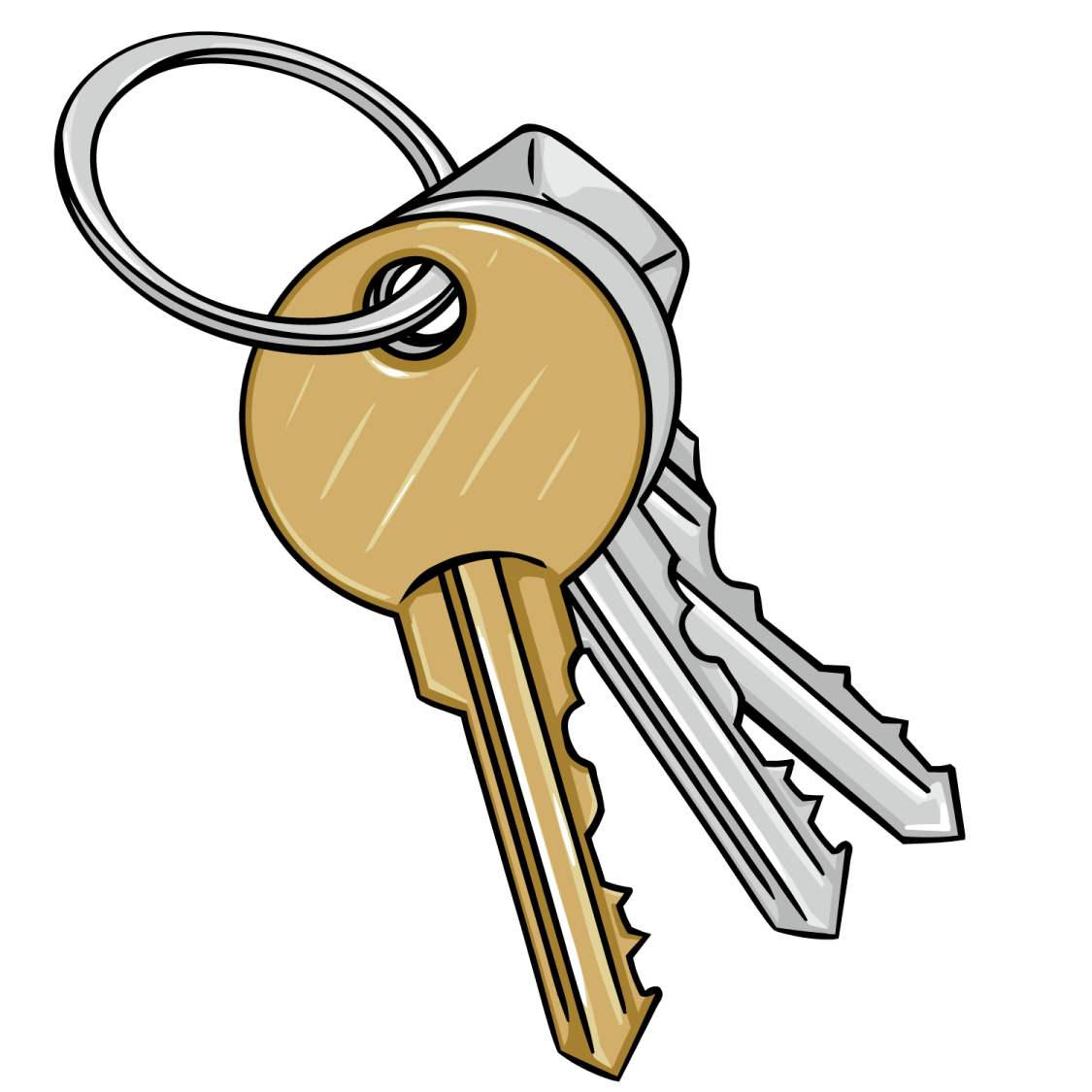a bunch of keys on a white background