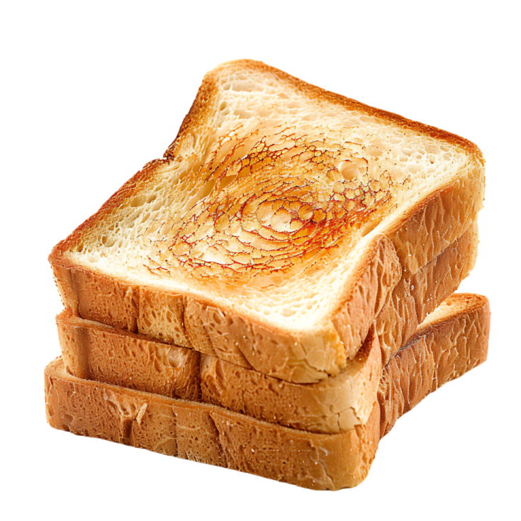a piece of toasted bread