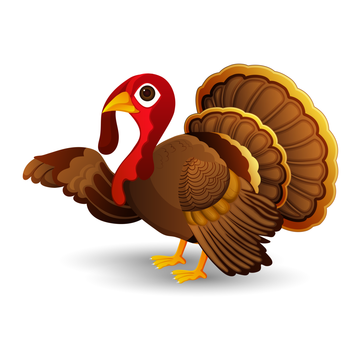 a turkey that is standing on the ground