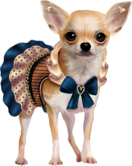 a small dog wearing a dress and bow tie