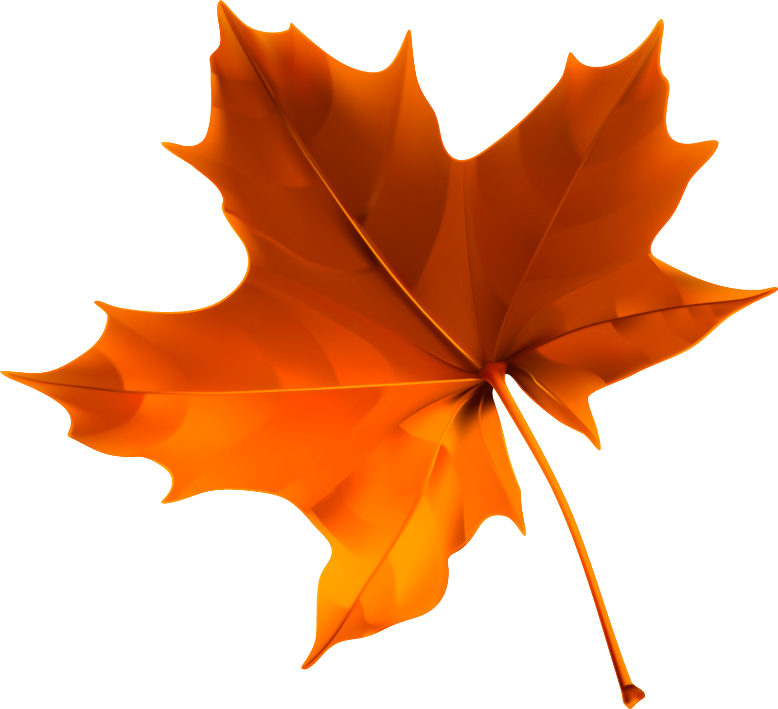 an orange maple leaf