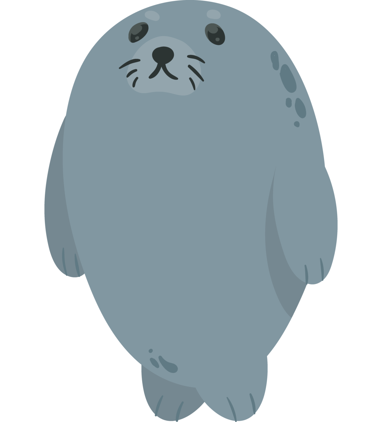 a gray dog with black eyes