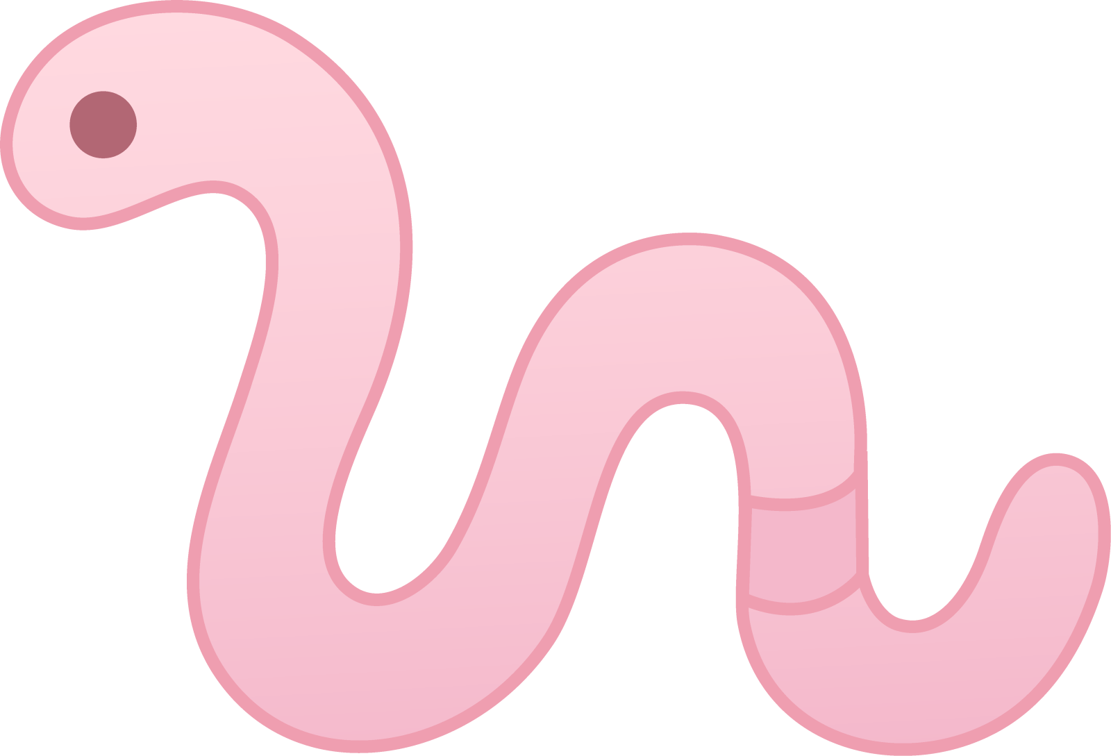 a pink worm on a white background