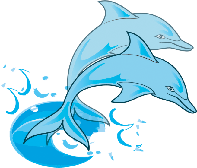 a dolphin jumping out of the water