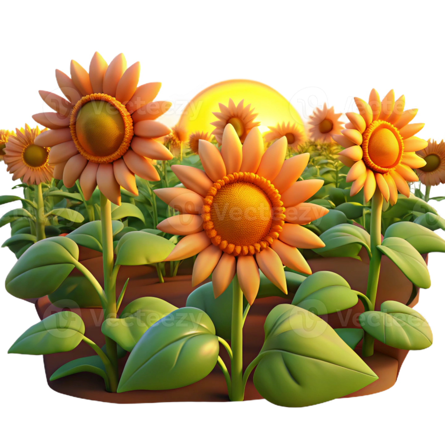 a bunch of sunflowers on a white background