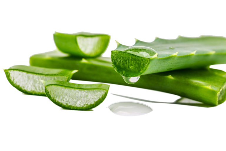 a pile of sliced aloes on a white background