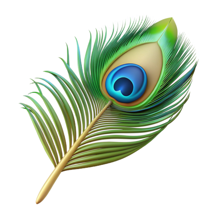 a peacock feather on a white background