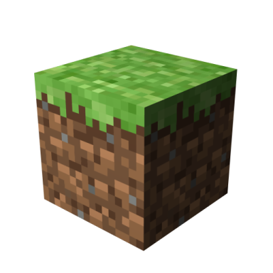 an image of a minecraft block