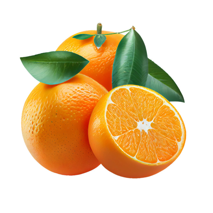 two oranges with leaves on a white background