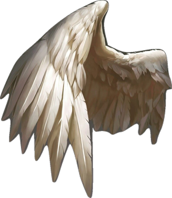 a drawing of an angel wing