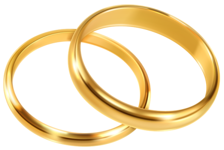 a pair of gold wedding rings