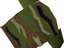 a green and brown camouflage jacket