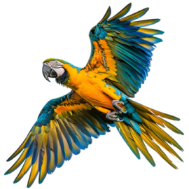 a blue and yellow parrot flying in the air