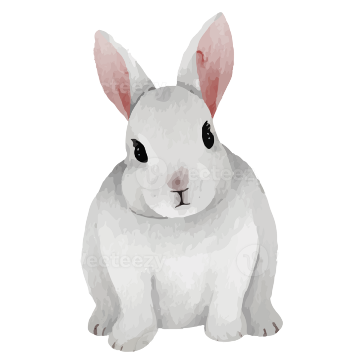 a white rabbit with pink ears sitting on a white background