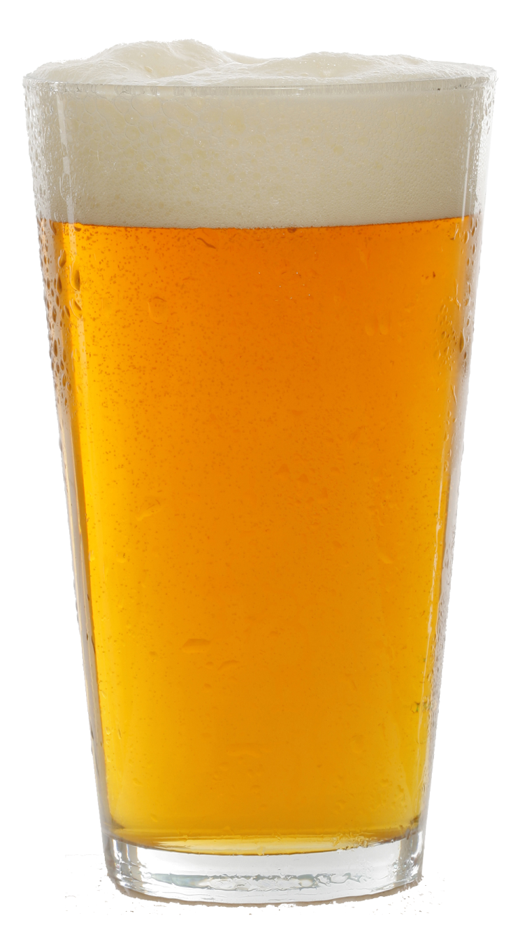 a glass of beer on a white background