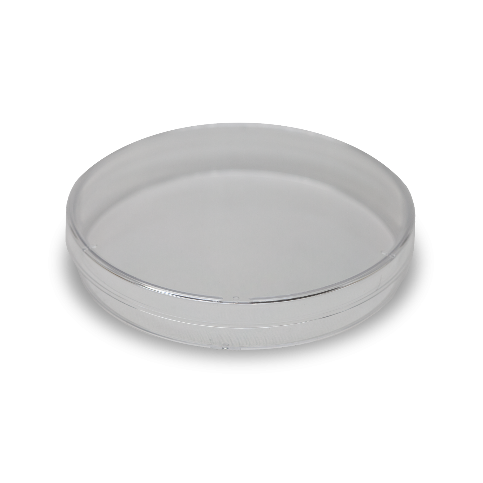 a silver plate on a white background