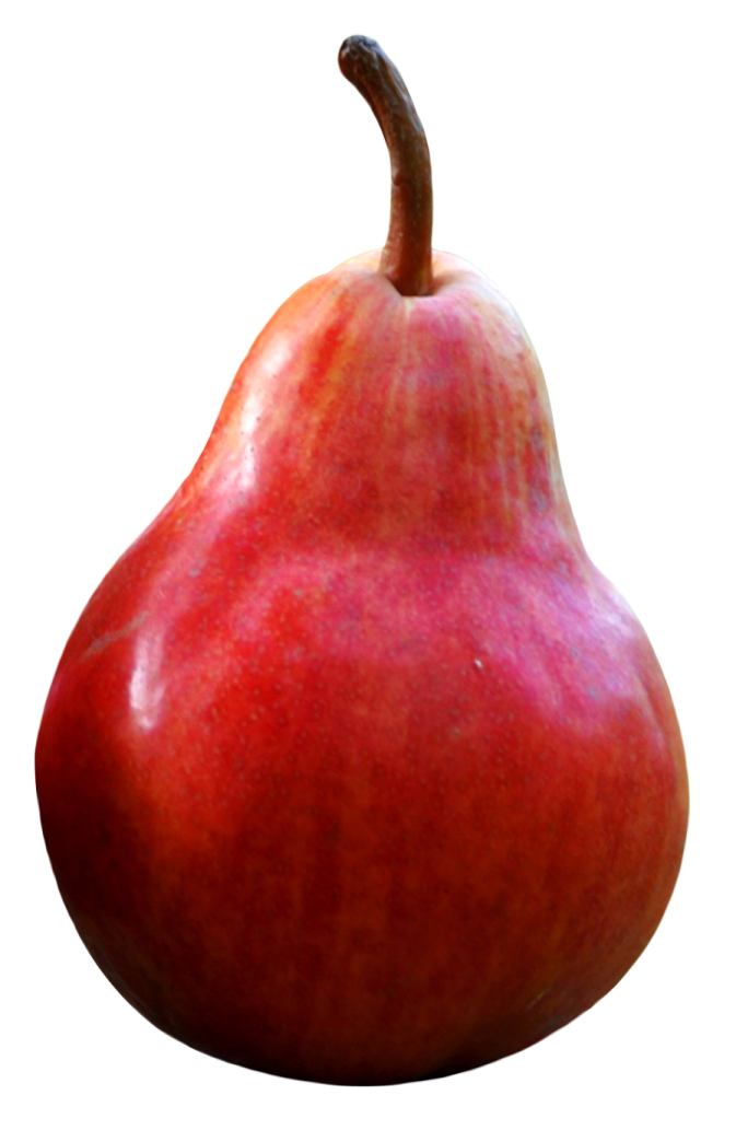 a red pear on a white background