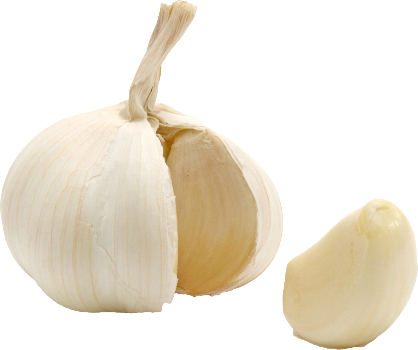an onion and a garlic on a white background