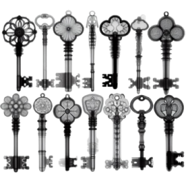a bunch of keys on a white background