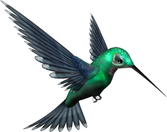 a green hummingbird flying in the air