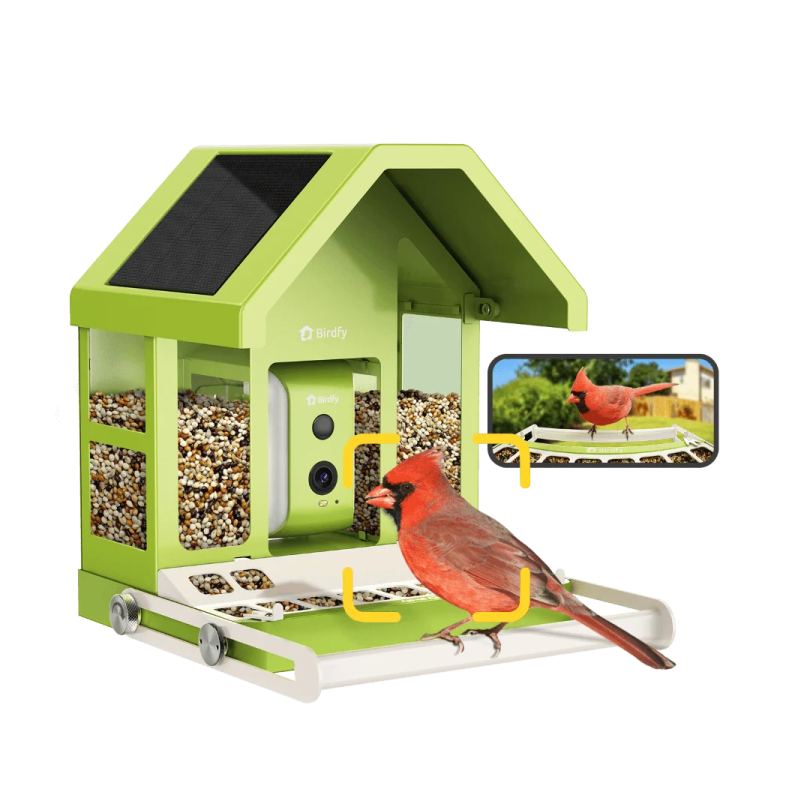 a green bird feeder with a red bird in it