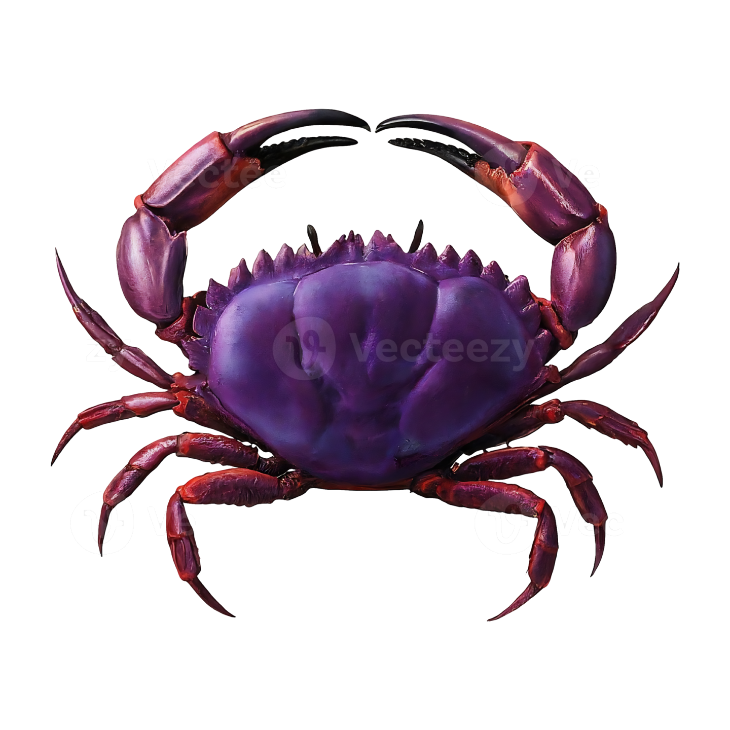 a purple crab on a white background