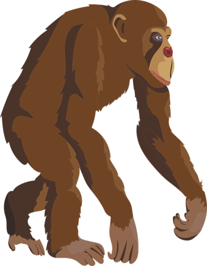 an illustration of a bigfoot