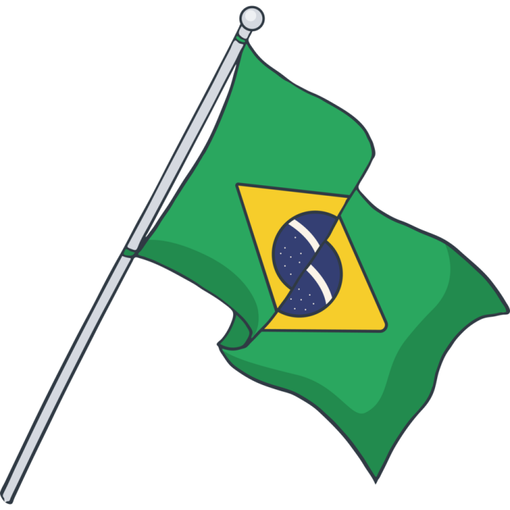 a brazil flag on a pole
