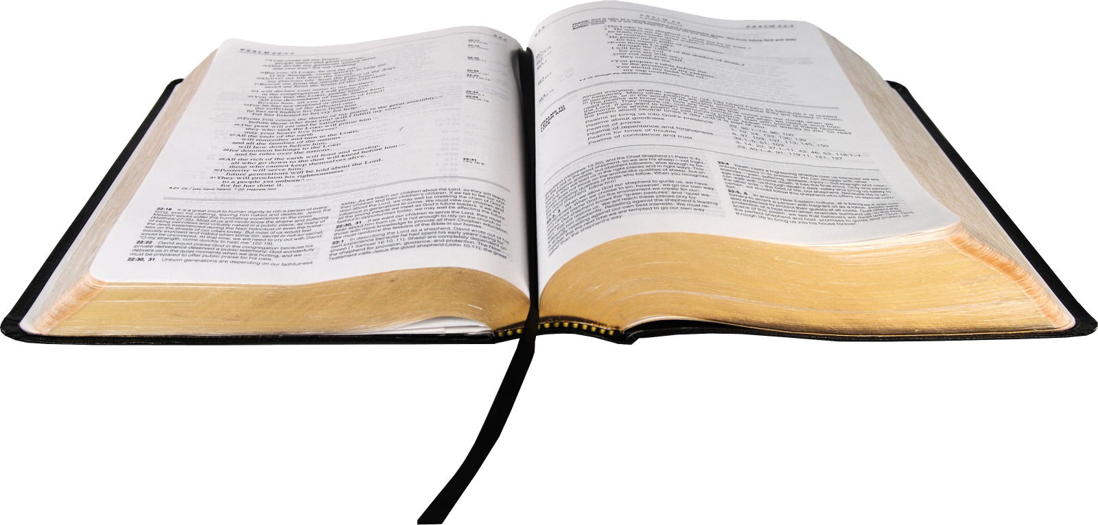 an open bible on a white background