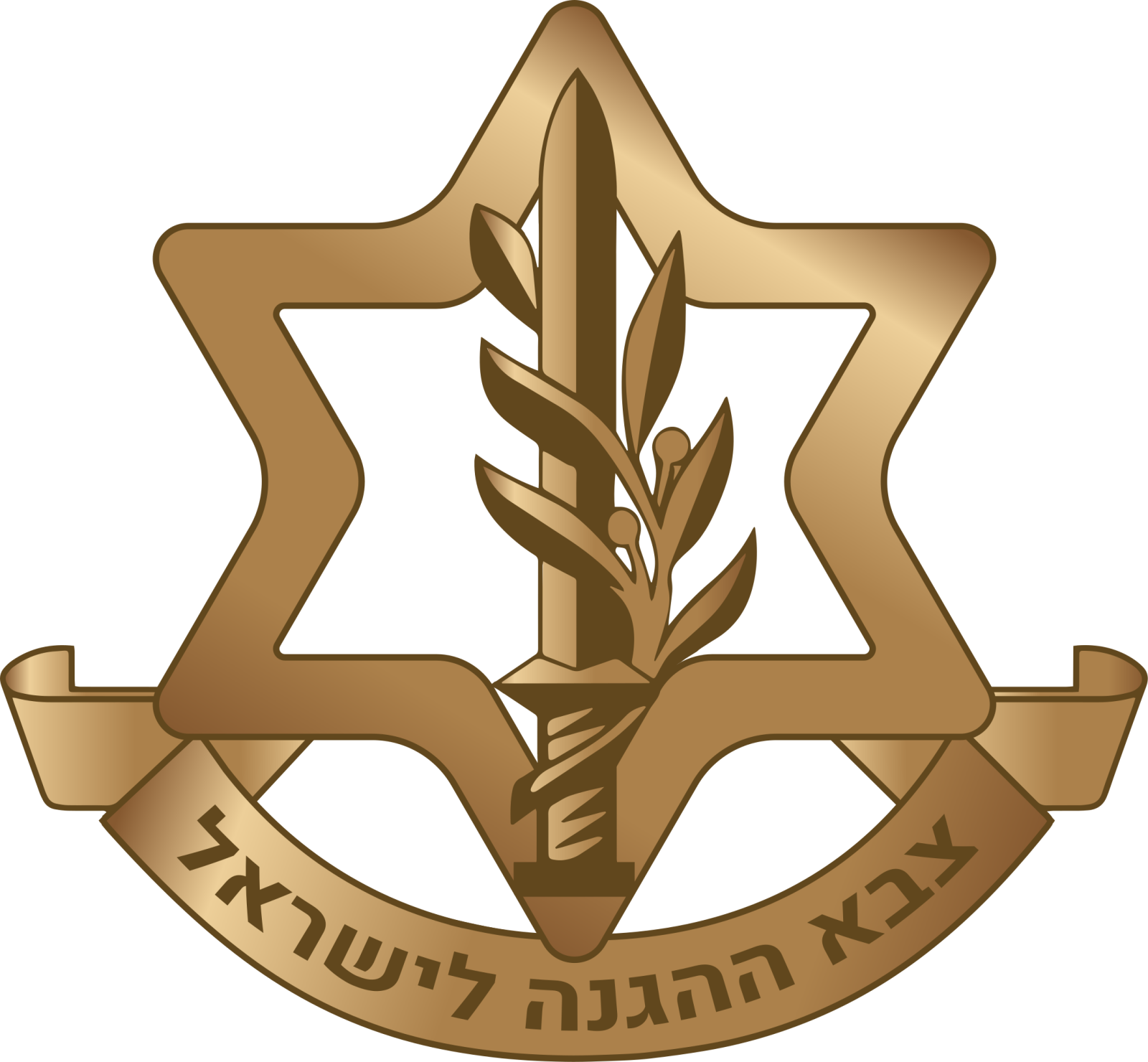 the israeli air force logo