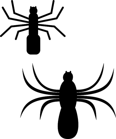 a black and white image of two spiders