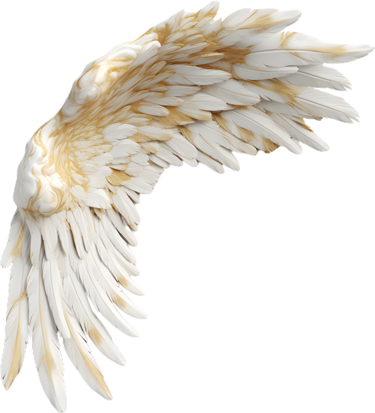 an image of a white and gold wing