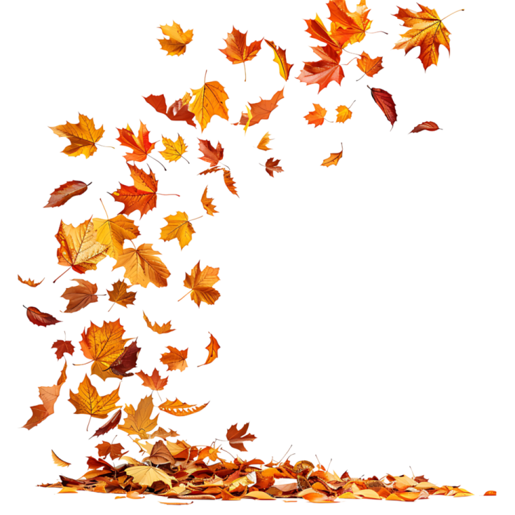 falling autumn leaves on a white background