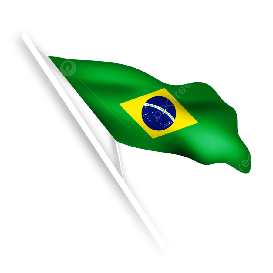 the brazilian flag on a white background