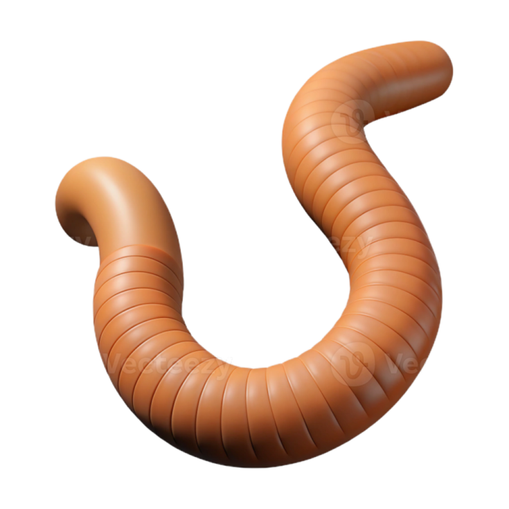 an image of a worm