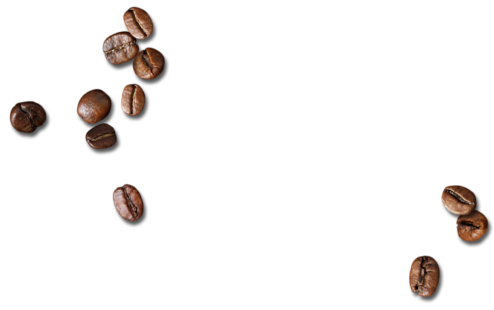 coffee beans on a white background