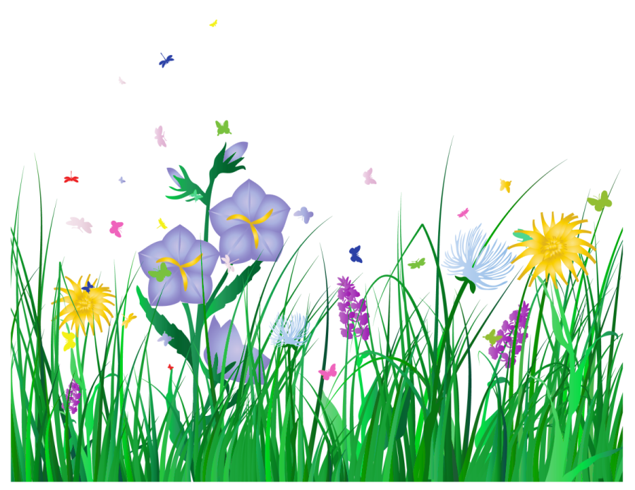 flowers and butterflies on a white background