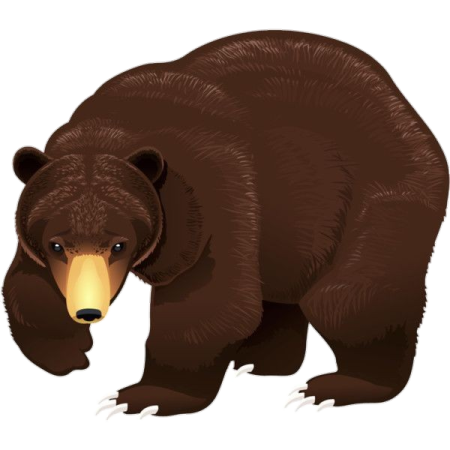 a brown bear on a white background