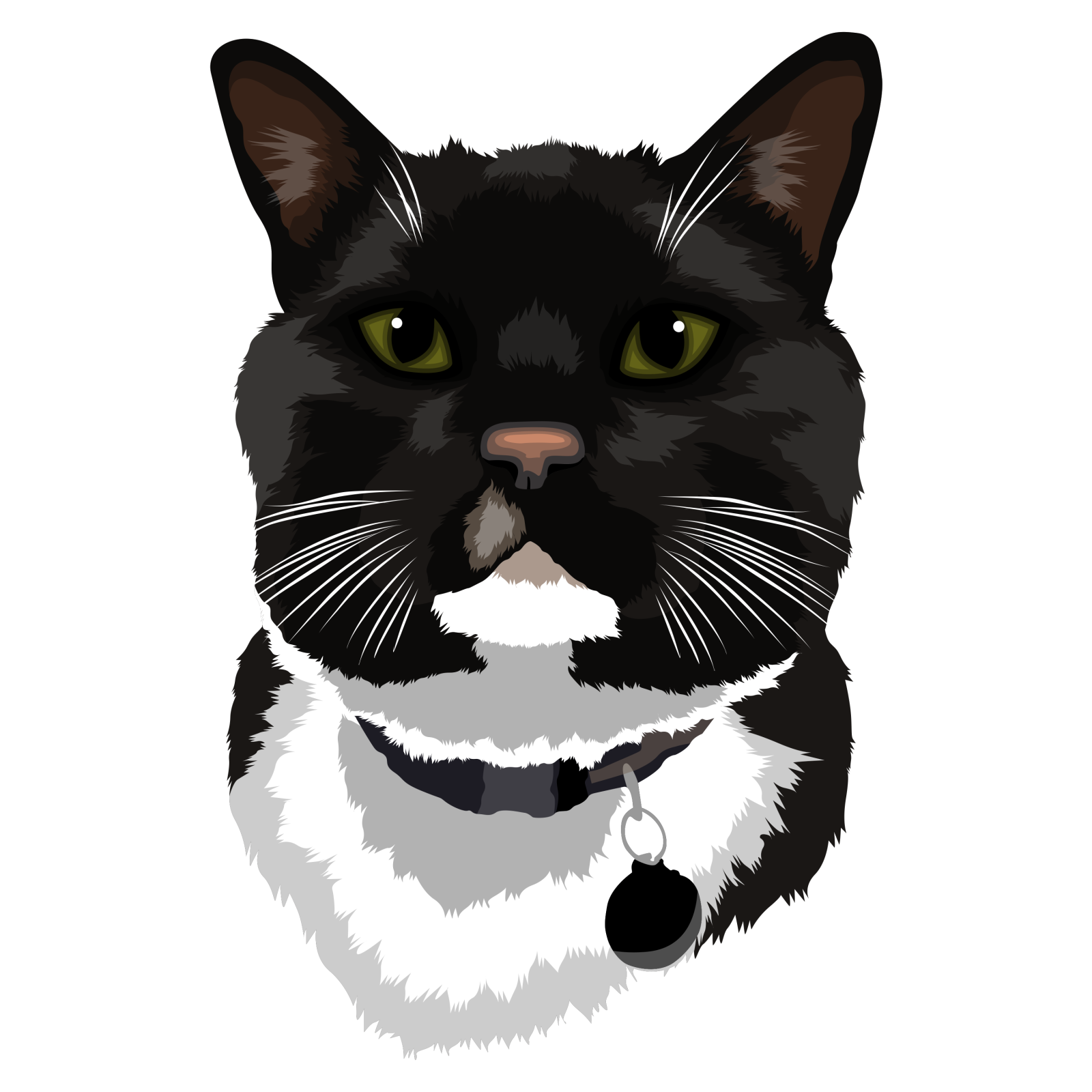 a black and white cat with green eyes